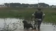Imagem Vídeo: cachorro da polícia encontra bandido no meio do mato