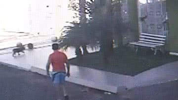 Imagem Crueldade: homem mata cadela yorkshire da vizinha com enxada