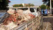 Imagem Carne apreendida é roubada da delegacia de Brumado