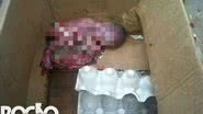 Imagem Bebê é encontrado morto dentro de caixa em Tancredo Neves