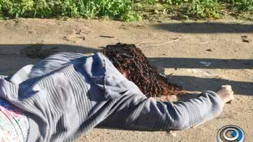 Imagem Adolescente grávida é assassinada em Eunápolis