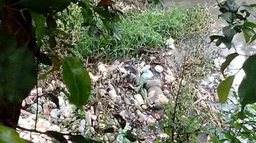 Imagem Corpo é encontrado em córrego da Estrada do Coco