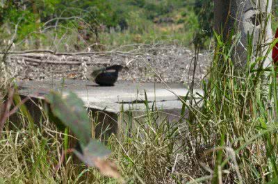 Imagem Vitória da Conquista: corpos são encontrados em reservatório de água
