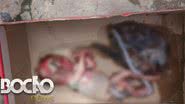 Imagem Morador encontra feto em esgoto no bairro de Pernambués