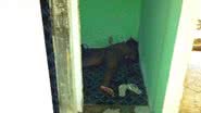 Imagem Mais uma mulher é brutalmente assassinada em Salvador