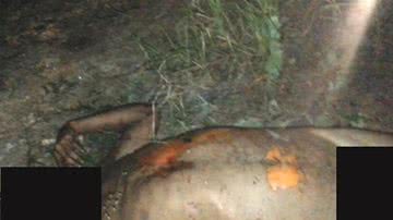 Imagem Corpo de um homem é desovado em mata sem os olhos e sem a língua