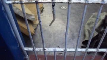 Imagem Cadeia pública de Valença é interditada pela Justiça