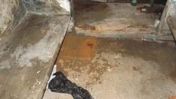 Imagem Policiais impedem fuga de detentos após descoberta de buraco em Ubatã