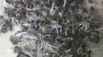 Imagem PM apreende menores com muita maconha em Simões Filho