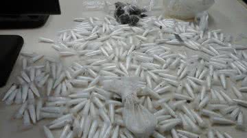 Imagem Três mulheres são presas com drogas em Barro Duro