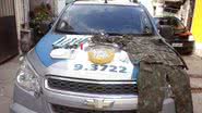 Imagem PM apreende drogas que iriam abastecer o Carnaval no IAPI