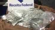 Imagem Polícia apreende 'supermaconha' em aeroporto de Salvador