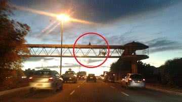 Imagem Homem desiste de se matar após negociar participação no Se Liga Bocão