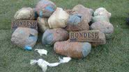 Imagem Polícia apreende mais de 23kg de maconha, crack e cocaína