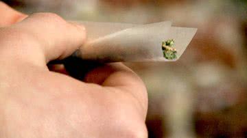 Imagem Juiz julga proibição da maconha inconstitucional
