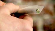 Imagem Juiz julga proibição da maconha inconstitucional