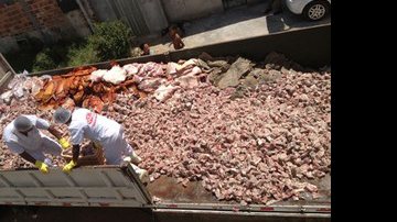Imagem Mais de três toneladas de peixe estragado é apreendido pela PRF na Bahia