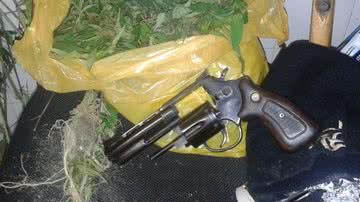 Imagem Polícia desativa fazenda de maconha em Ipiaú 