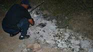Imagem Barro Preto: documentos da prefeitura são queimados