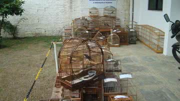 Ascom / Ascom Polícia Civil