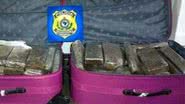 Imagem  Em mala rosa, mulher carregava 45 quilos de maconha e foi presa