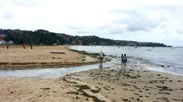 Imagem Confira as praias impróprias para banho em Salvador e RMS