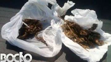Imagem Policial militar é preso com maconha e carro roubado em Arembepe