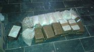 Imagem Polícia apreende 100kg de drogas na Boca da Mata