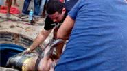 Imagem Irmãos morrem dentro de tanque de combustível em Jequié