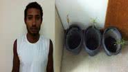 Imagem Uma semente no meu quintal: homem plantava maconha em vasos dentro de casa