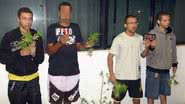 Imagem Um tremendo matagal: pés de maconha são apreendidos com jovens 