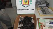 Imagem Polícia resgata filhotes de cachorro enterrados vivos