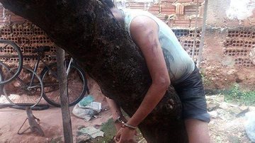 Imagem Pai algema filho usuário de crack em árvore para proteger de traficantes