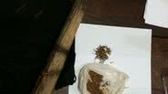 Imagem Na onda do crime parte 2: traficantes são presos com crack e maconha em Itacaré