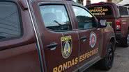 Imagem Dupla é presa dentro de ônibus com tablete de maconha 