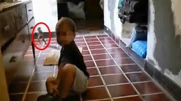 Imagem Assista: criatura que teria aparecido em vídeo caseiro gera polêmica na internet