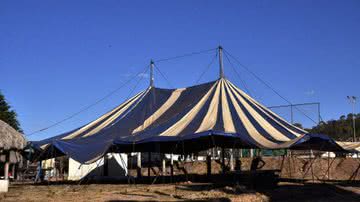 Imagem Montador de circo mata colega por dívida de R$ 20 