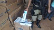 Imagem Brumado: mega operação apreende toneladas de cigarro e tabaco cru