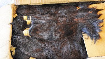 Imagem  Uma tonelada de cabelo humano é apreendida em aeroporto de São Paulo