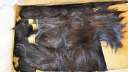 Imagem  Uma tonelada de cabelo humano é apreendida em aeroporto de São Paulo