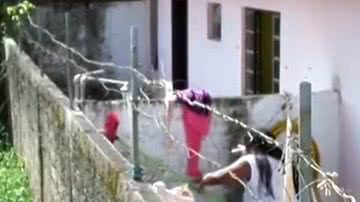 Imagem Vídeo: vizinhos filmam sobrinha agredindo tia de 78 anos com uma vassoura