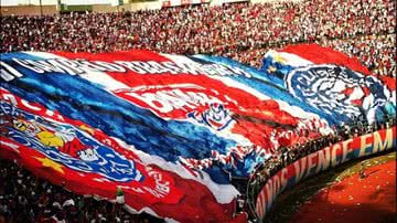 Imagem Bahia é o nono time que mais arrecada em estádio do Brasil