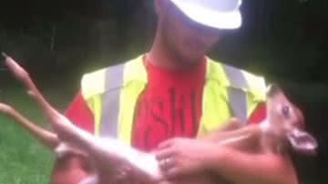 Imagem Assista: filhote de veado se nega a sair do colo de homem