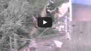 Imagem Vídeo: suspeito de crimes foge da polícia ao se jogar de barranco