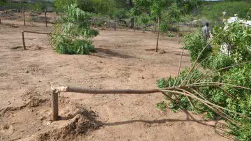 Imagem Prefeitura de Itaberaba promete investigar crime ambiental em parque ecológico