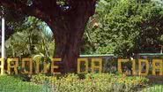 Imagem Parque da Cidade será requalificado com recursos da Petrobras