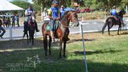 Imagem Prefeitura de Irecê não apoiou a 16ª Expoagri