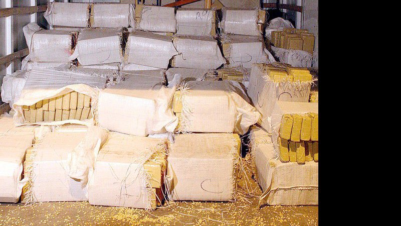 Imagem Quase duas toneladas de maconha são apreendidas em barracão da Gaviões da Fiel