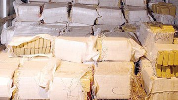 Imagem Quase duas toneladas de maconha são apreendidas em barracão da Gaviões da Fiel