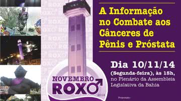 Imagem Sessão comemora primeiro ano da Lei Novembro Roxo